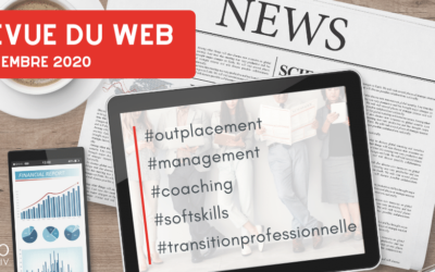 Revue du web management : novembre 2020