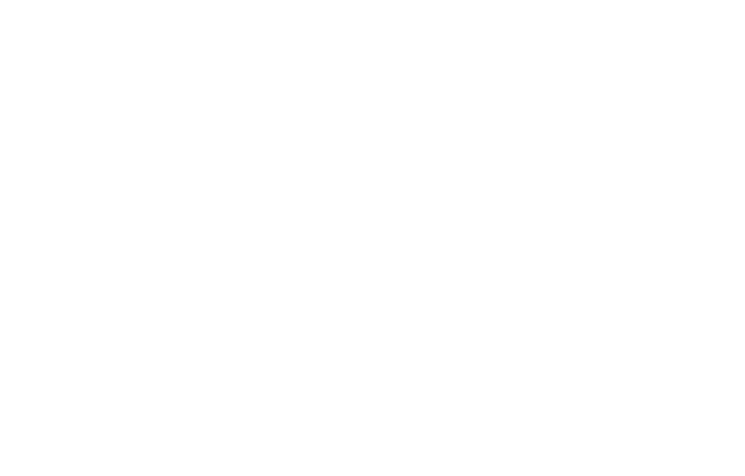 Logo Alixio Activ Dirigeants blanc